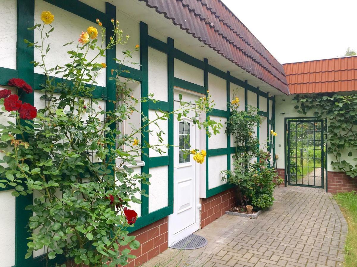 Pension Im Gruenen Eberswalde-Finow Exterior foto